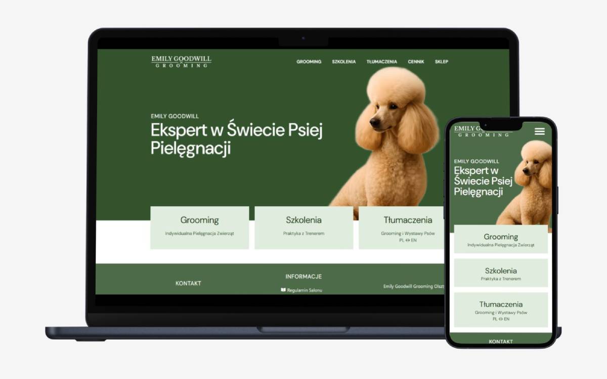 Emily Goodwill – strona internetowa marki